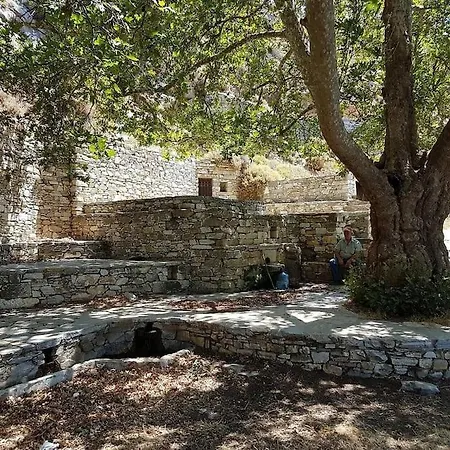 Oak & Olive Village, Naxos Island Center Apartment
