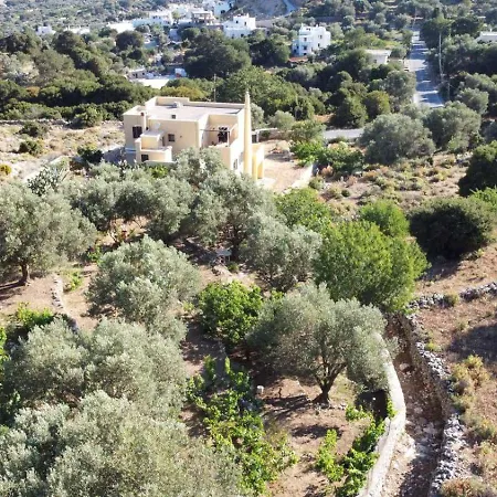 Oak & Olive Village, Naxos Island Center Filotion