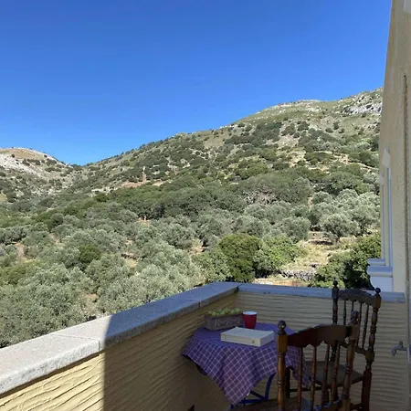 Oak & Olive Village, Naxos Island Center