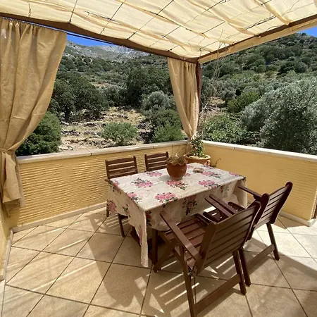 Oak & Olive Village, Naxos Island Center Apartment