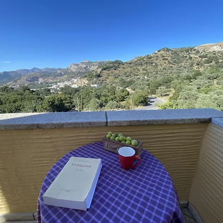 Oak & Olive Village, Naxos Island Center