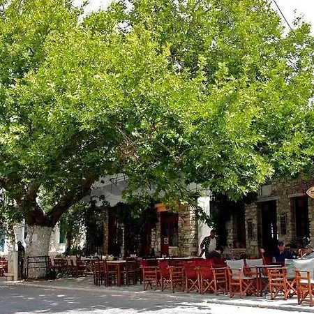 Oak & Olive Village, Naxos Island Center *